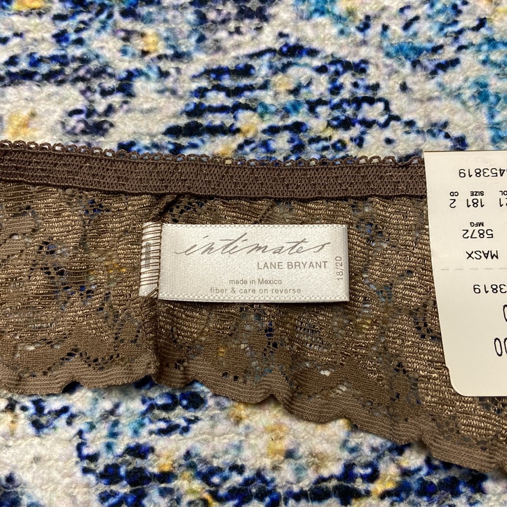 NWT Vintage Intimates by Lane Bryant Bronze Lace Bow Accent High Cut Thong 18/20 - Picture 5 of 9